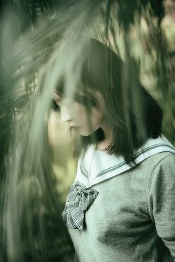 免费看狗锁人视频